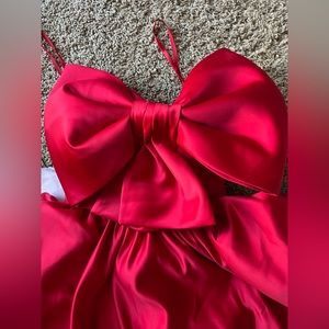 Ashley Lauren Red Box Dress